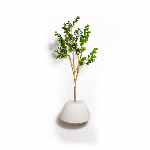 Zeenith 17 inch white stone with premium rose plant