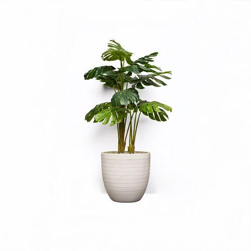 Jute 16 inches white stone with monster palm