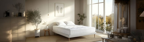 Pillows & Mattresses