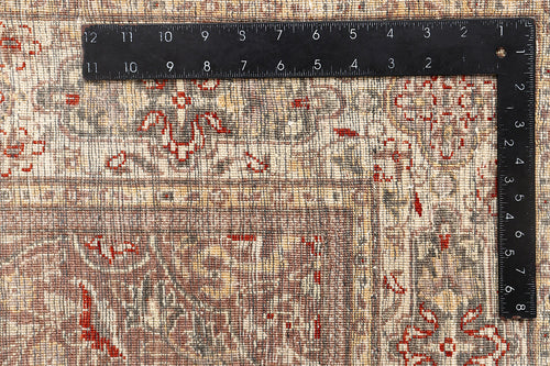 Blossom Pearl (Camel Brown & Beige)
