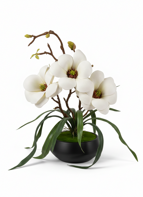 White Flower Pot