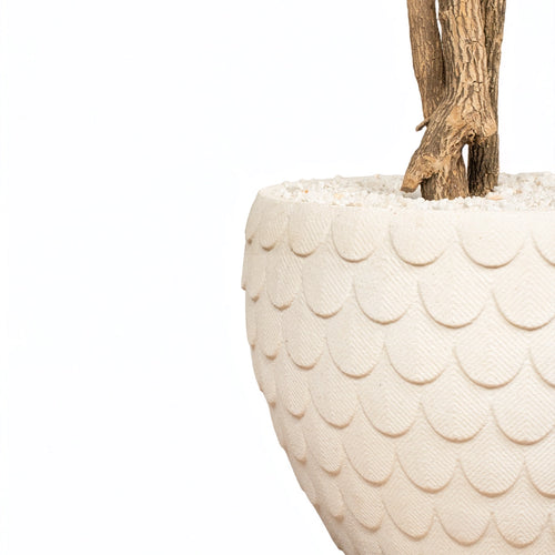 Luma white 6 feet with white blossom 6 feet