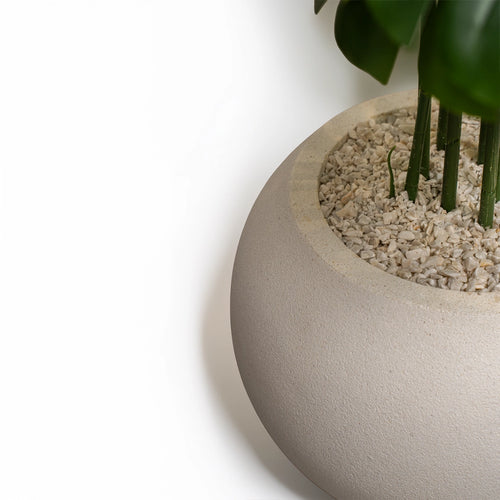 Orion white stone 12 inch monstars 3 ft