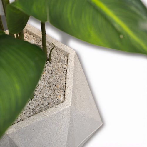 Diamond 18 inches white stone with Banana 4 feet