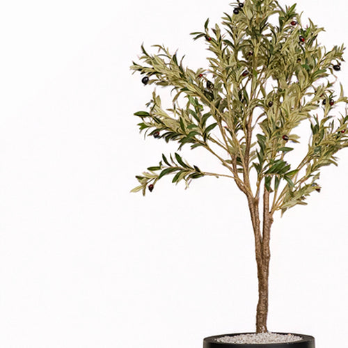 Heaven 30 inch black GRP with olive tree plant